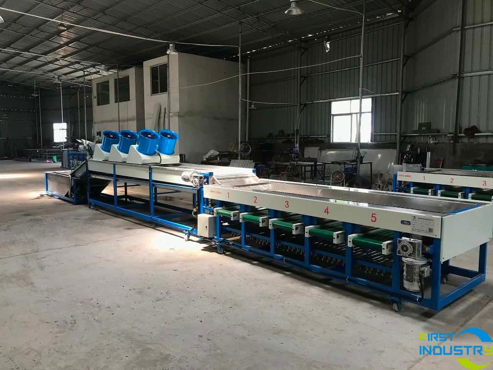 Cherry Tomato Cleaning and Grading Machine