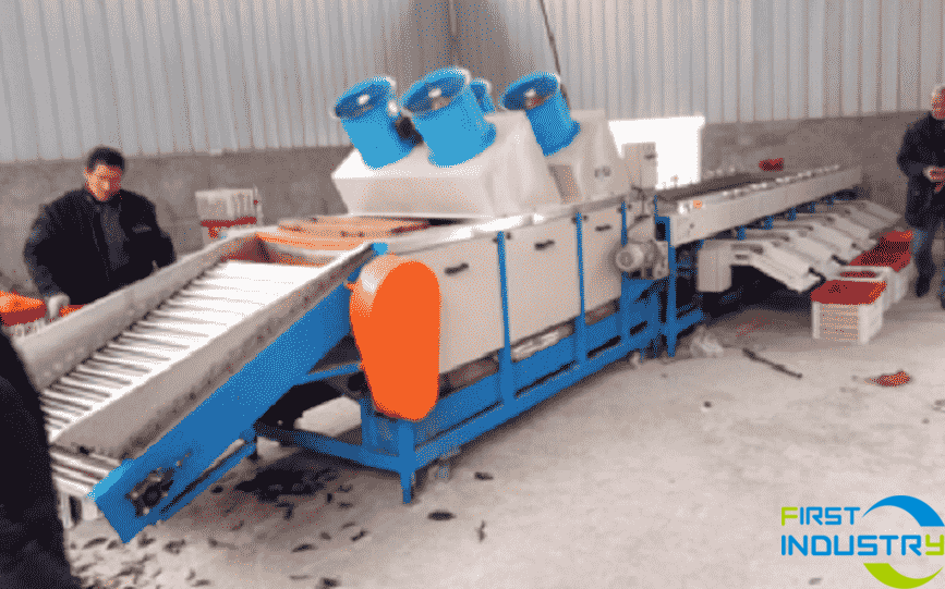 orange grading machine