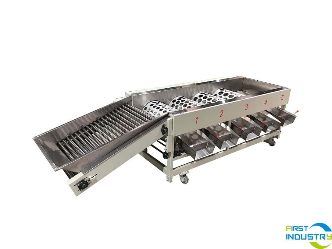 citrus grading machine