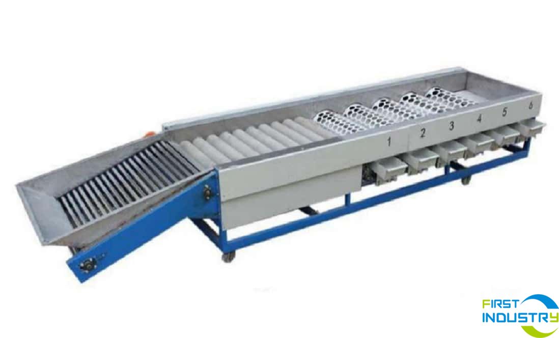 citrus grading machine