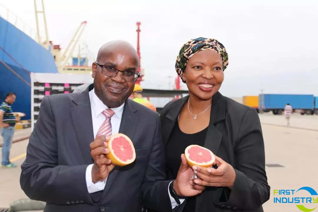 images/1560842206932640.webp.jpg images/1560842206932640.webp.jpg