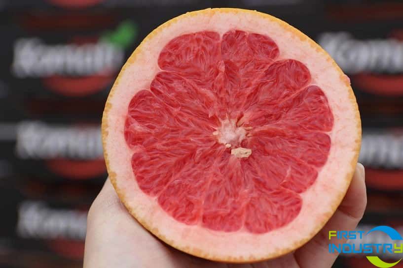 images/1560843163838wei_xin_tu_pian_20190611152200.jpg images/1560843163838wei_xin_tu_pian_20190611152200.jpg