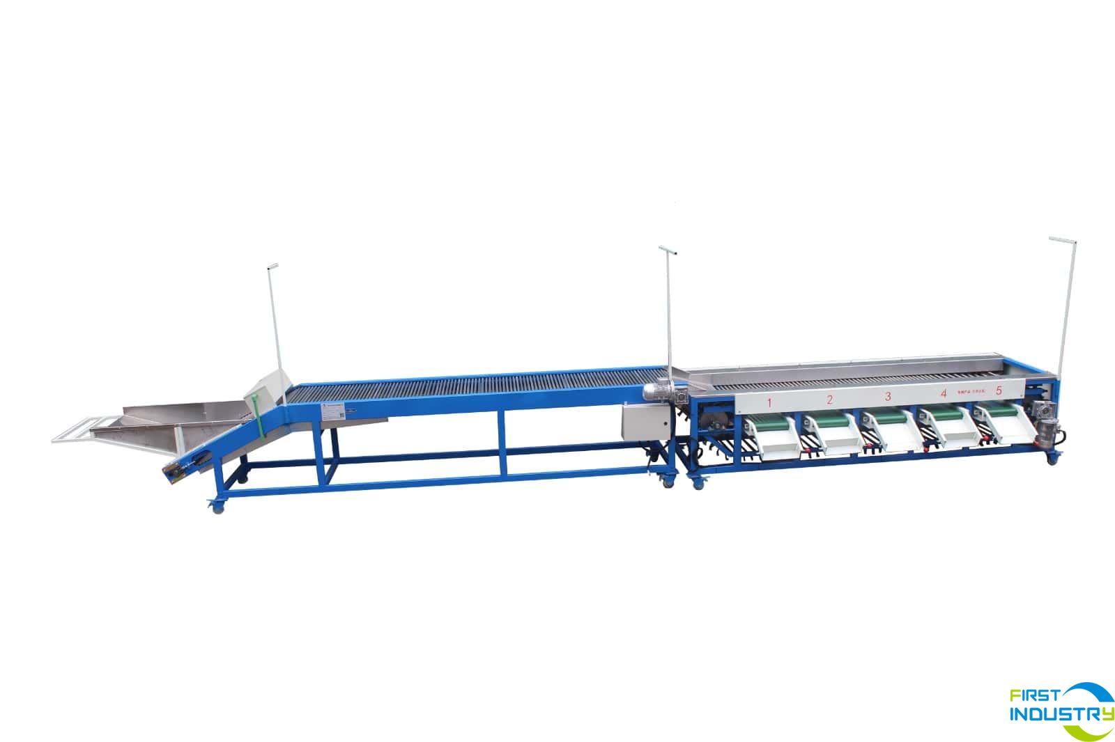 coccinia grading/sorting machine