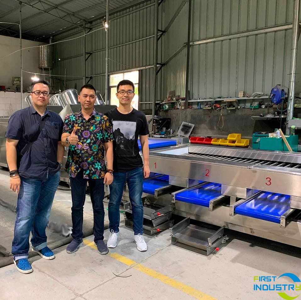 testing of mangosteen grading sorting machine