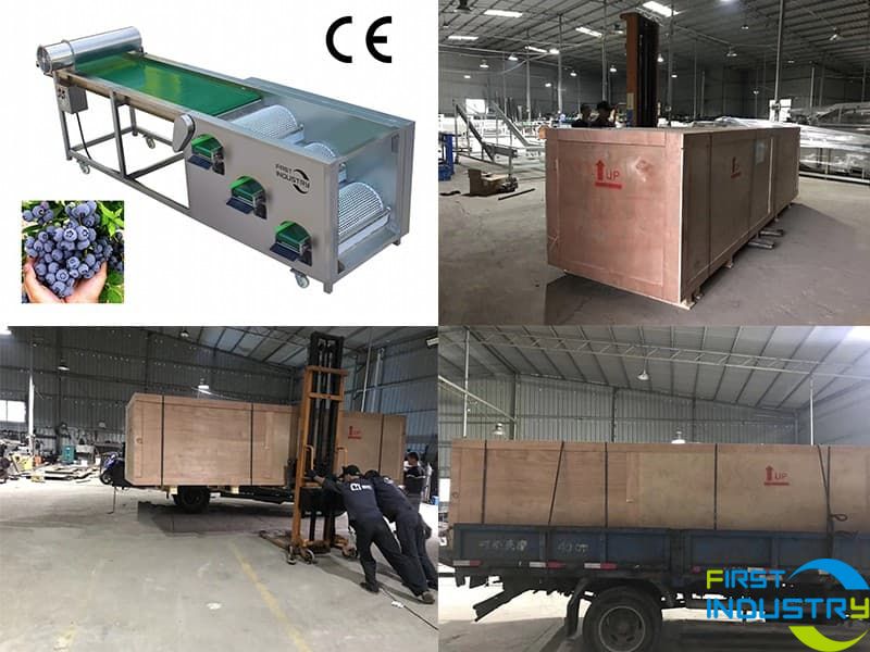 loading-of-blueberry-grader