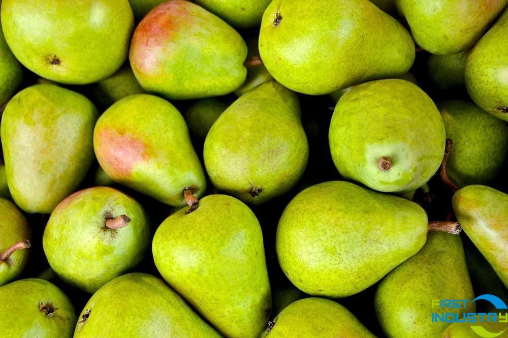 fresh pear