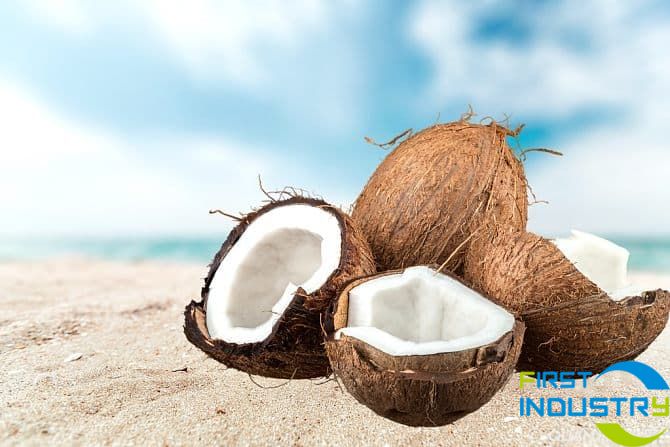 coconut