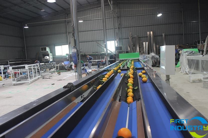 citrus weight sorter