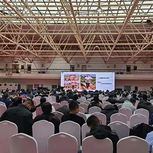 Sweet potato exhibition in Zhengzhou city
