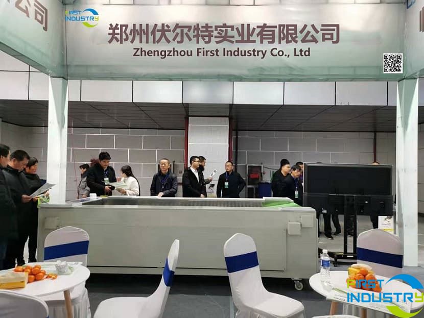 the exhibition of sweet potato grading machine