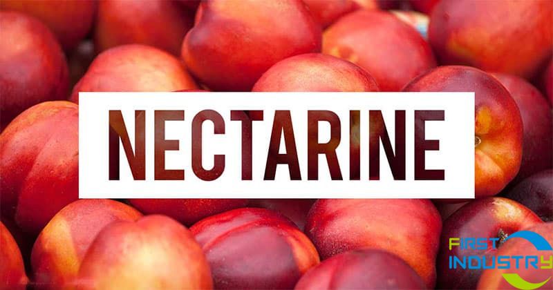 nectarine