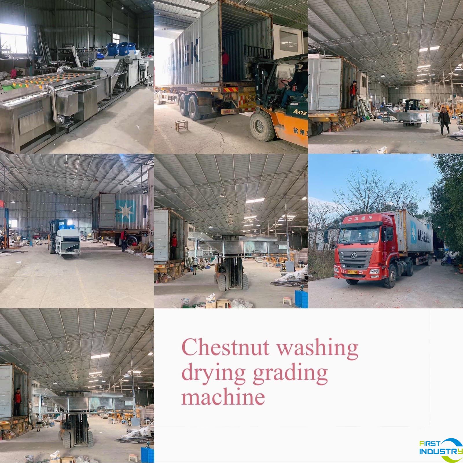 images/1583224530345chestnut-washing-drying-grading-line.jpg