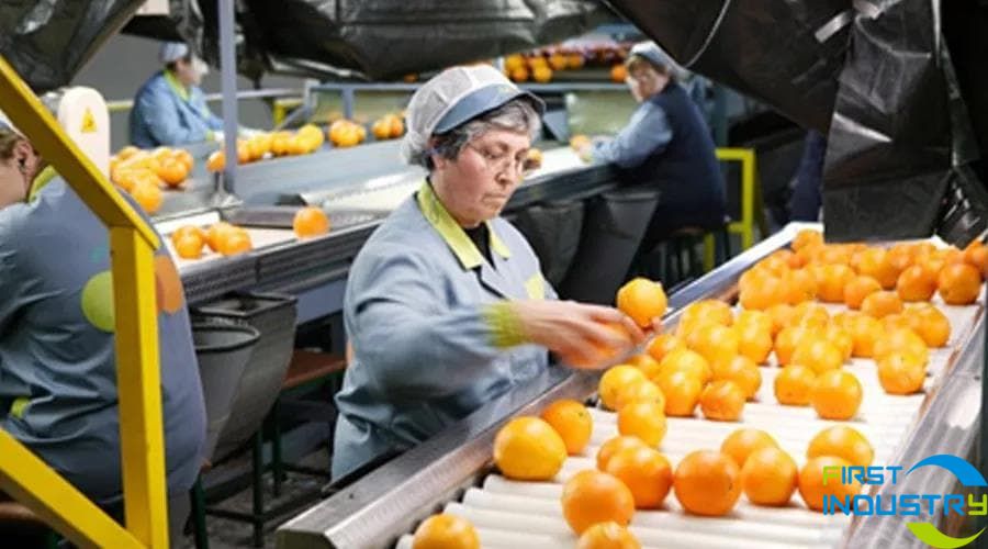 citrus grading machine