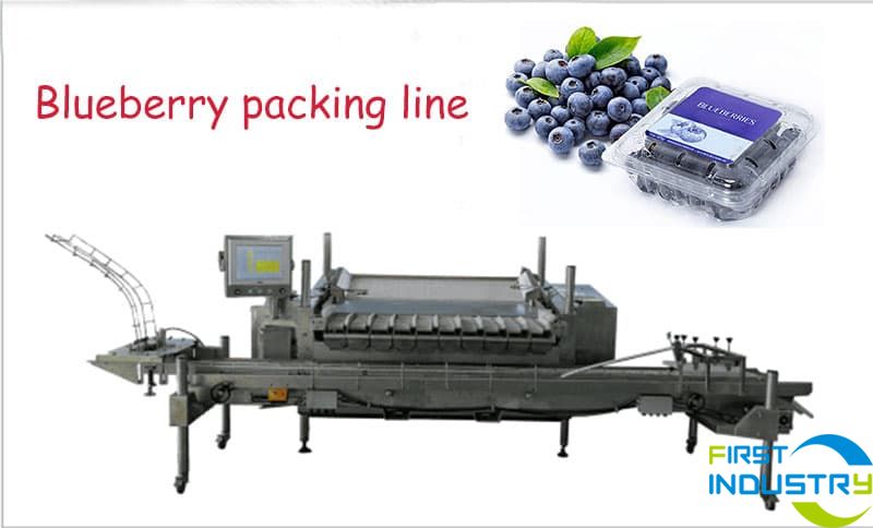 blueberry packing machine
