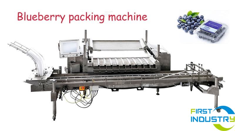 images/1592361711237blueberry-packing-machine.jpg