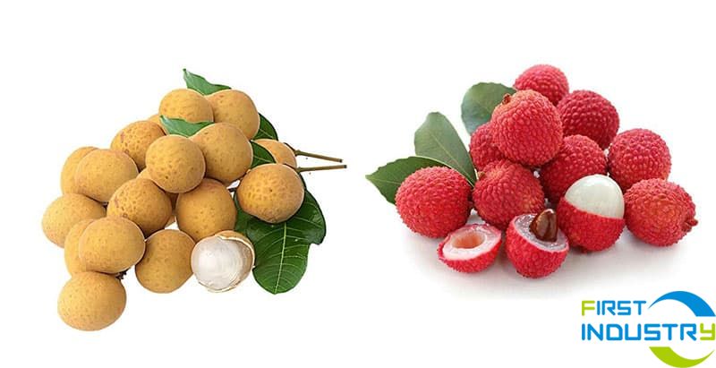 longan and lychee