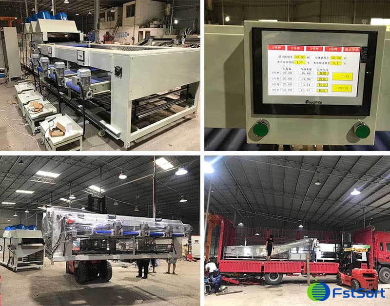 potato-sorting-packing-machine potato-sorting-packing-machine