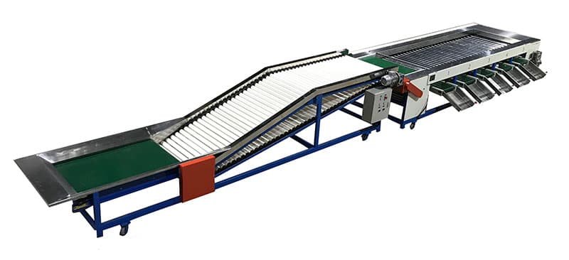 orange-sorting-machine