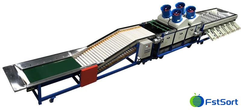 tangerine-sorting-machine tangerine-sorting-machine