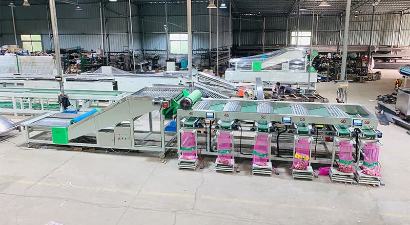 garlic packing machine