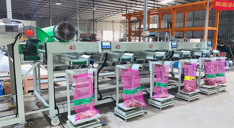 garlic bagging machine