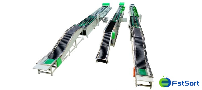 weight-sorting-machine-for-fruits weight-sorting-machine-for-fruits