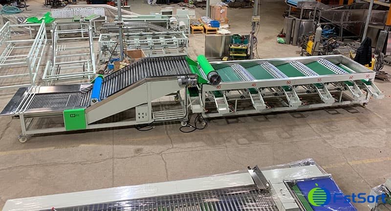 onion-sorting-machine onion-sorting-machine