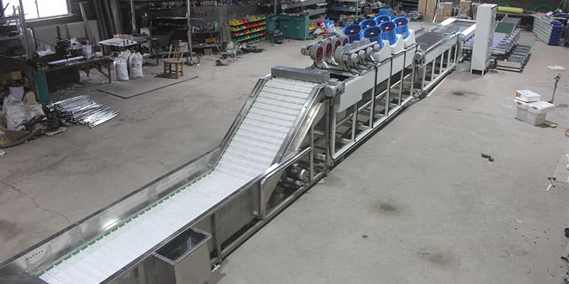 date-cleaning-sorting-line