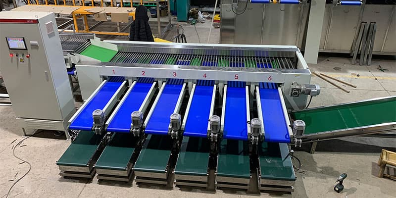 date-grading-machine