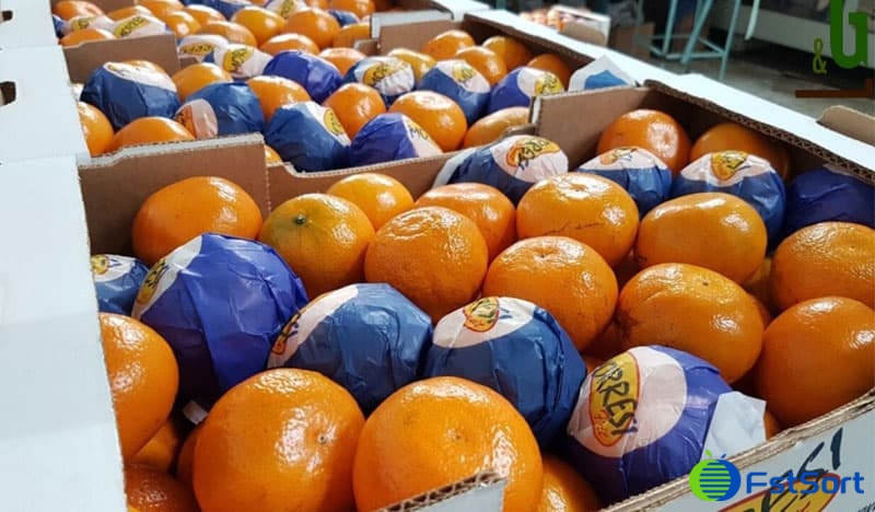 honey-Murcott-packing honey-Murcott-packing