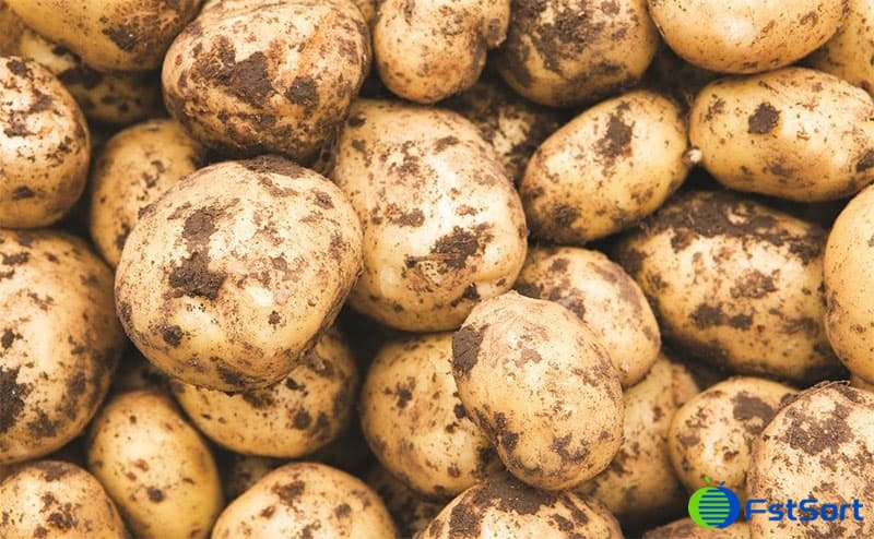 potato-need-to-be-cleaning potato-need-to-be-cleaning