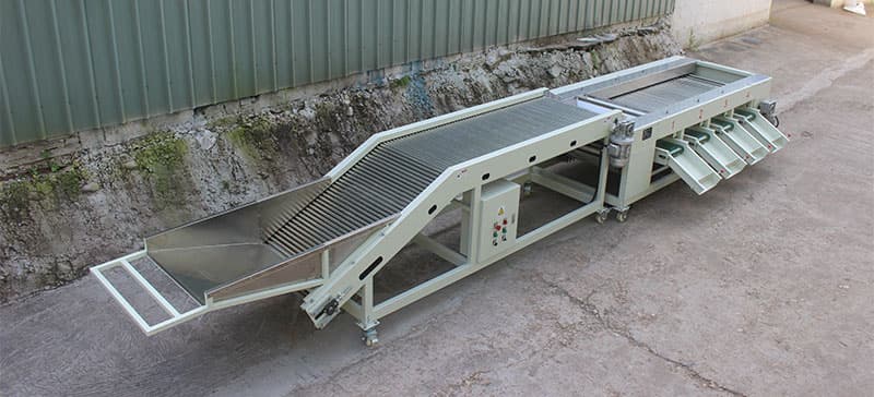 date-sorting-machine