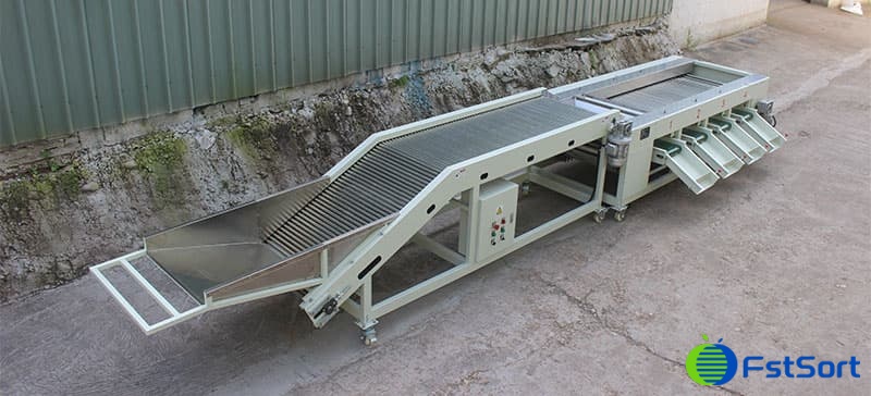 date-sorting-machine date-sorting-machine