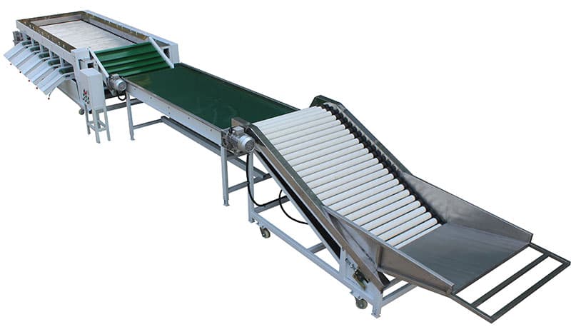 passion-fruit-sorter