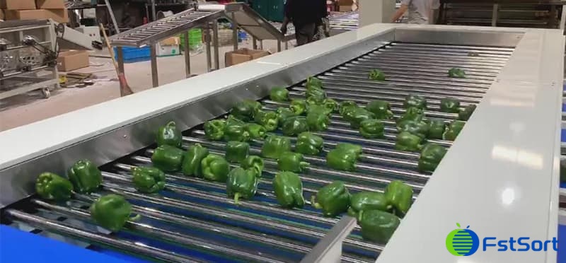 pepper-sorting-machine pepper-sorting-machine