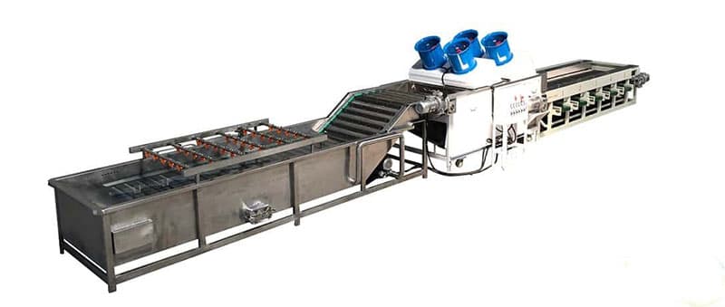 chestnut-washing-sorting-machine