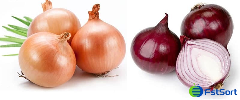 onions onions