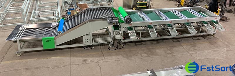 onion-sizer onion-sizer