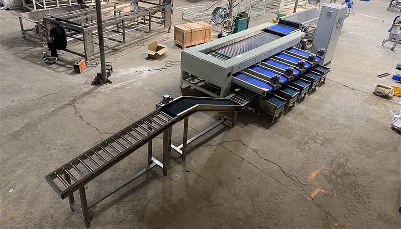 date-grading-packing-line