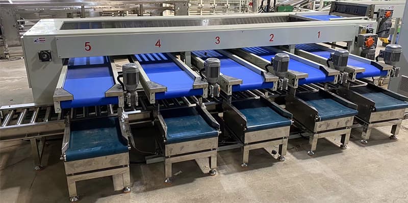 date-weigth-packing-line