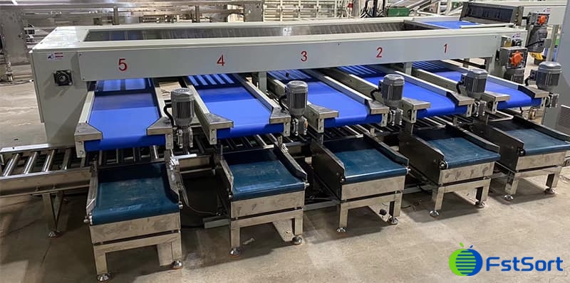 date-weigth-packing-line date-weigth-packing-line