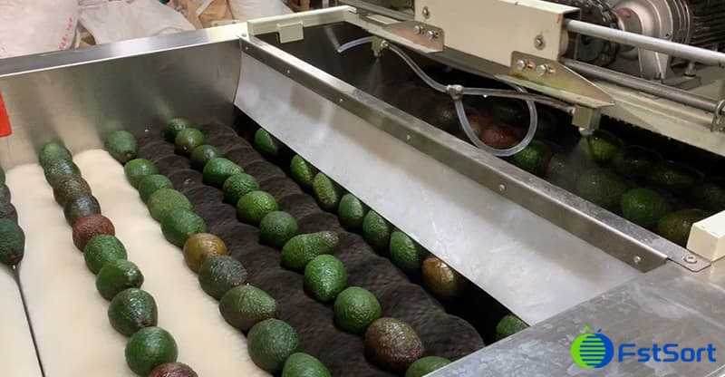 avocado-waxing-machine avocado-waxing-machine