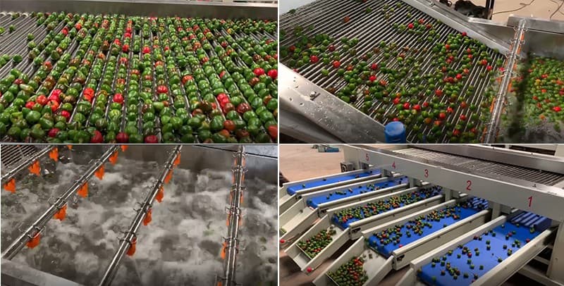 images/1598945825784cherry-pepper-sorting-machine.jpg