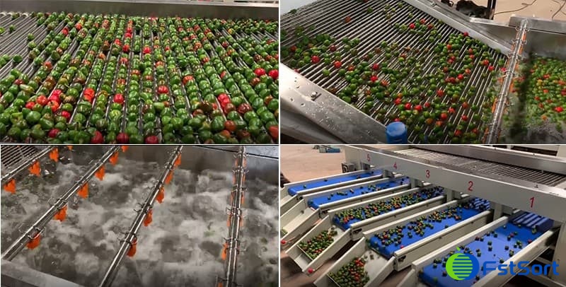images/1598945825784cherry-pepper-sorting-machine.jpg