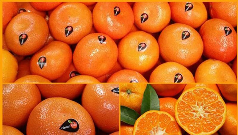 citrus