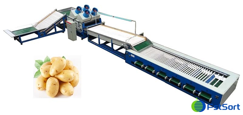 potato-sorting-line potato-sorting-line