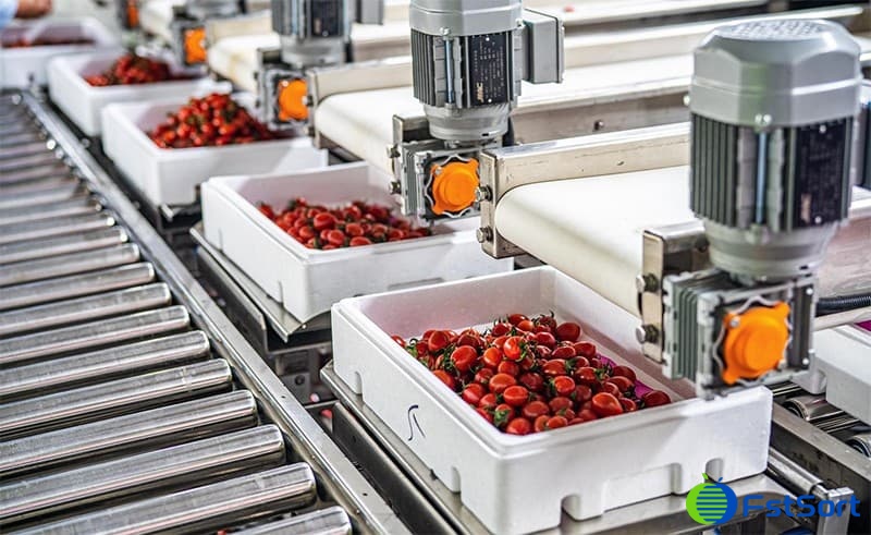 images/1599209444195fruit-packing-line.jpg