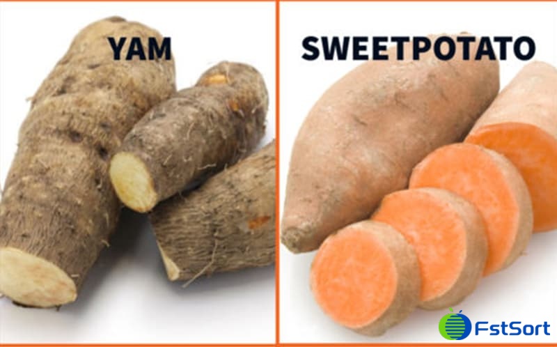 images/1599463766700yam-or-sweet-potato.jpg