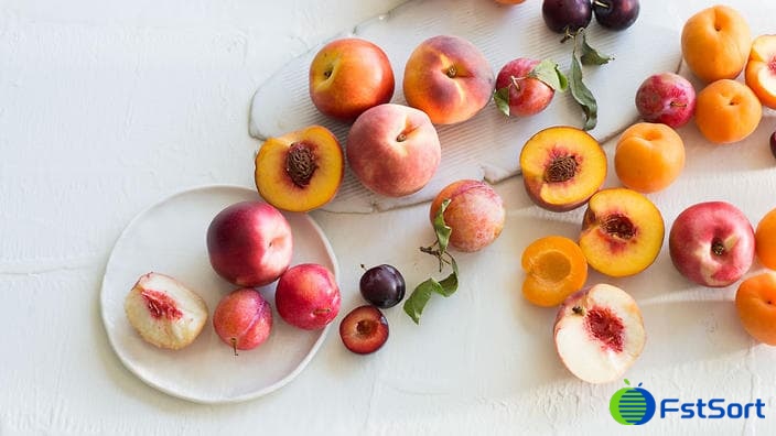 stone-fruit stone-fruit