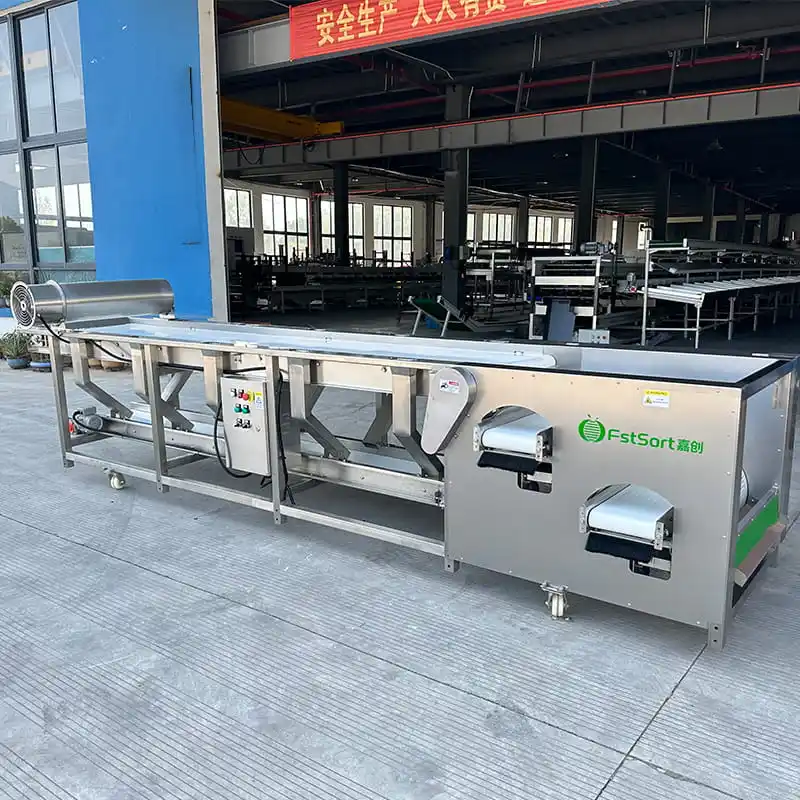 Blueberry Grading Machine Sold to Israel